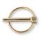 Goupille clips